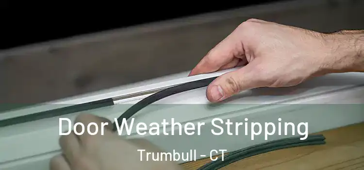 Door Weather Stripping Trumbull - CT