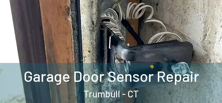 Garage Door Sensor Repair Trumbull - CT