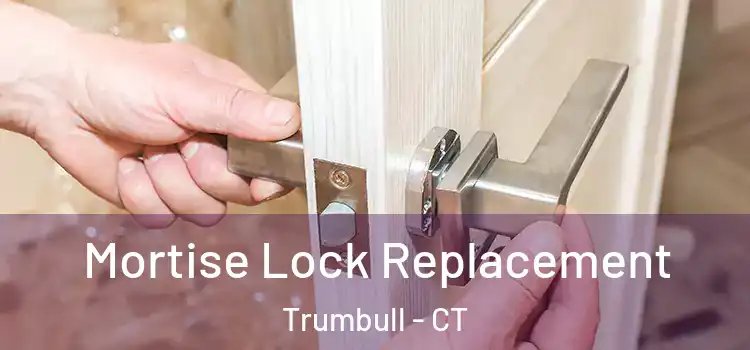 Mortise Lock Replacement Trumbull - CT
