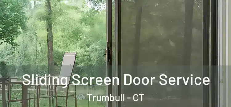 Sliding Screen Door Service Trumbull - CT